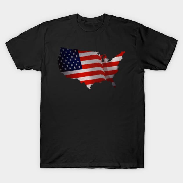 US Flag T-Shirt by Aim For The Face